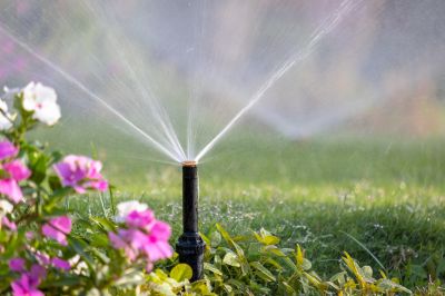 Prevents overwatering