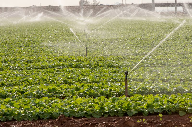 Sprinkler Repair Costs — Cost of Sprinkler Repair