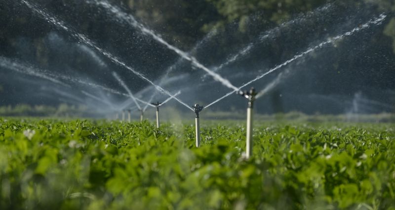 Specialized Irrigation Contractors